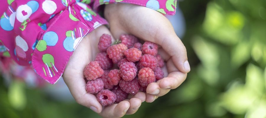 Les légumes de saison au gré des mois. de Belgourmet.eu