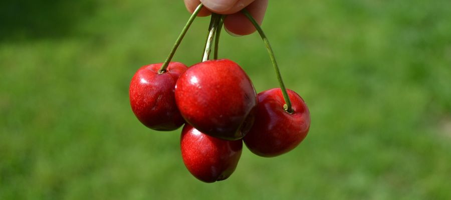 articles au gré des mois. de Belgourmet.eu