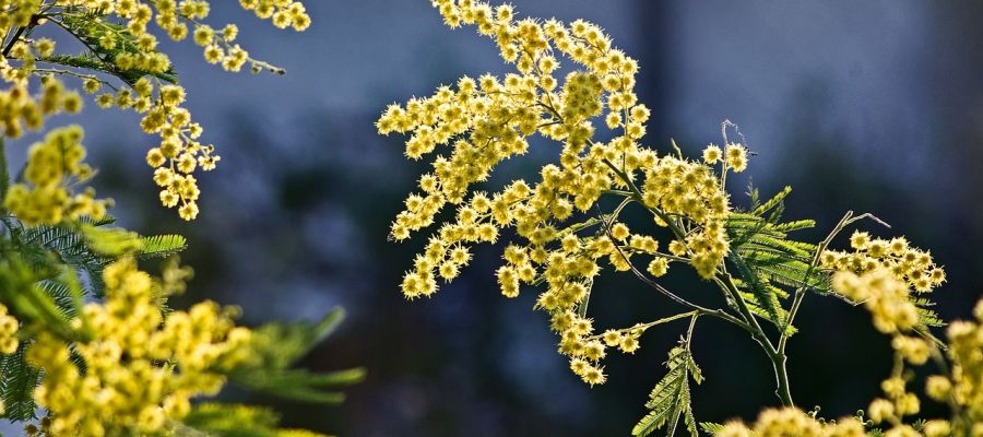articles au gré des mois. de Belgourmet.eu