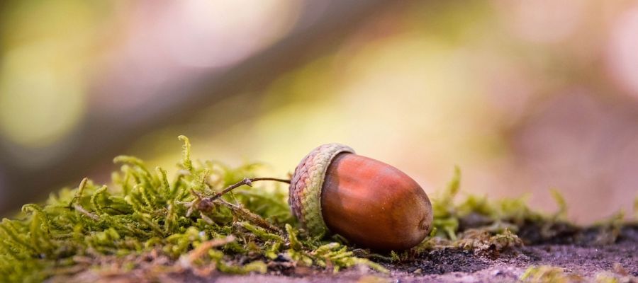 Les légumes de saison au gré des mois. de Belgourmet.eu