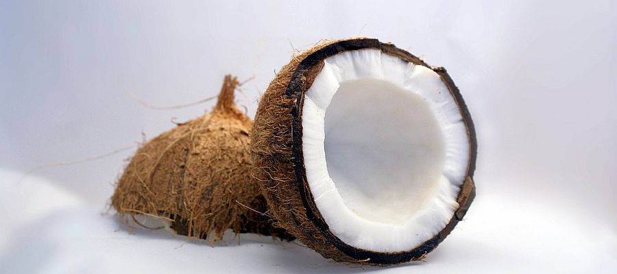  4 recettes de noix de coco de Belgourmet.eu