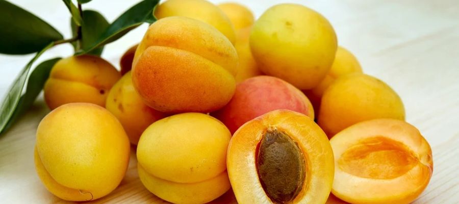 recettes pour préparer les abricots de Belgourmet.eu