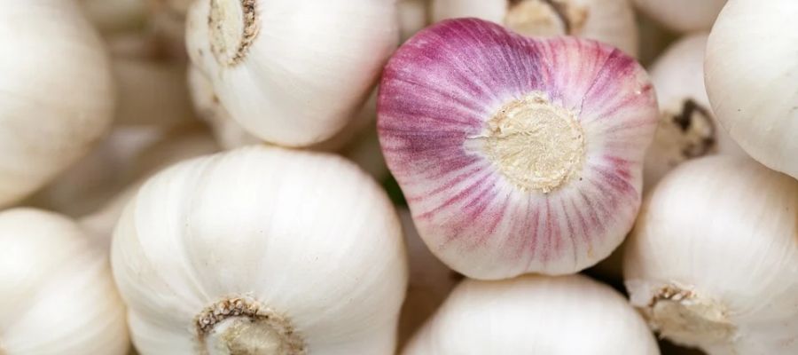 Une petite salade originale, qui ne peut se préparer qu'au moment de la croissance de l'ail des ours. Garnissez la salade de quelques inflorescences d'ail des ours: c'est joli et délicieux à la fois! de Belgourmet.eu