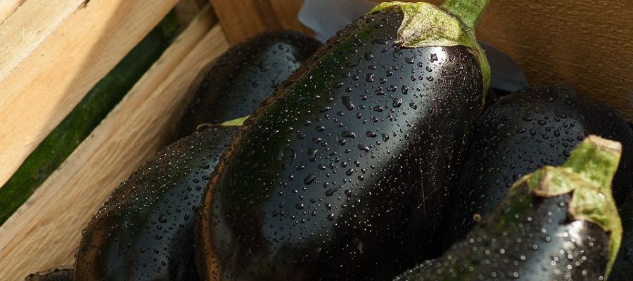 Les aubergines à la bordelaise peuvent se servir en accompagnement d'une côte de veau ou de porc, d'un rôti ou <br />de saucisses grillées. de Belgourmet.eu