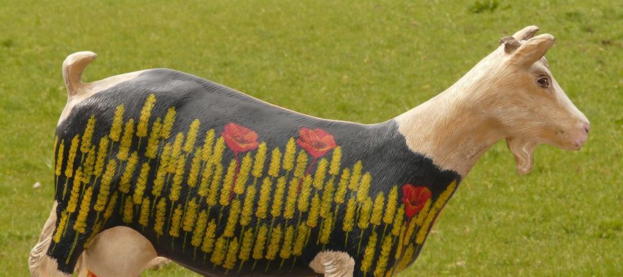 Les recettes de chevreau ne sont pas légion. Parmi toutes celles à ma disposition, je vous propose celle à la provençale... de Belgourmet.eu