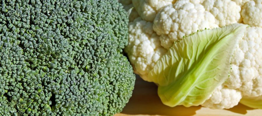 La région entre Anvers et Malines a toujours été un grand jardin maraîcher. Il va donc de soi que les recettes à base de légumes y abondent.<br />Cette soupe au chou-fleur, douce et onctueuse, est un exemple de cette palette de saveurs exquises.<br />Notez bien, en ce qui concerne les laitues de la recette, choisissez les bien vertes et tendres: les vieilles feuilles donnent une saveur amère.<br /> de Belgourmet.eu