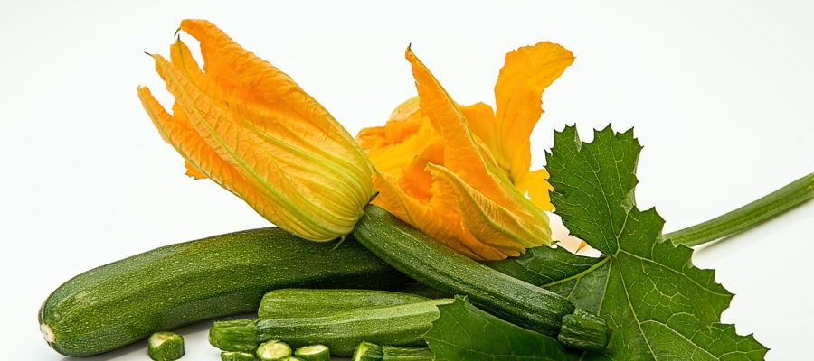  134 recettes de courgettes de Belgourmet.eu