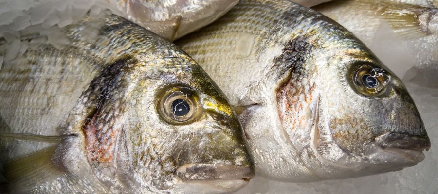 Aïgo saou, en occitan 'eau salée', bref, de la 'saumure', est en fait une soupe au poisson provençale, dans ce cas-ci à base de dorade, mais vous pouvez modifier la recette en panachant avec d'autre variétés. de Belgourmet.eu