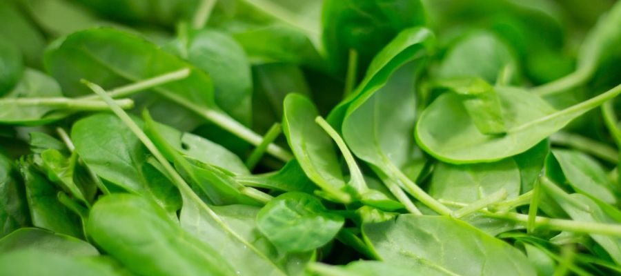 Un petit repas facile à réaliser et qui peut se ranger quelques heures au frigo avant de les servir. Vous pouvez remplacer les épinards frais par du surgelé. Ce légume supporte très bien ce moyen de conservation sans trop altérer la saveur. Si vous aimez le jambon, vous pouvez augmenter la quantité et choisir du jambon à l'os: plus cher mais bien meilleur! de Belgourmet.eu