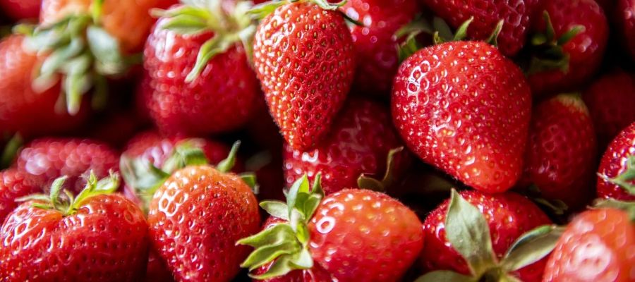 88 recettes de fraises de Belgourmet.eu