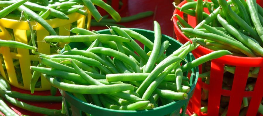 Une recette que Robert à préparé devant moi, rien que pour montrer le coté délicieux de sa Provence. Utilisez des haricots frais, rouges ou blancs, voire moitié rouges et moitié blancs.  de Belgourmet.eu