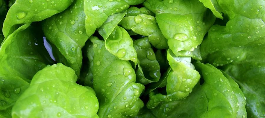 Ce potage peut se préparer à l'eau mais il est meilleur avec du bouillon. Si vous avez des restes de viande ou de volaille, vous pouvez aisément en tirer parti. C'est l'intérêt de cette recette, elle vous explique comment utiliser les restes de viande pour préparer un bouillon. de Belgourmet.eu