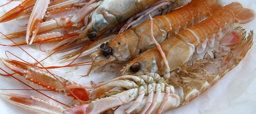 recettes pour préparer les délicieuses langoustines, recettes choisies parmi les préférées des internautes gourmets. de Belgourmet.eu