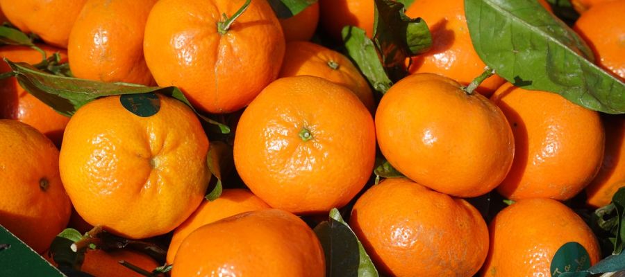  18 recettes de mandarines clémentines de Belgourmet.eu