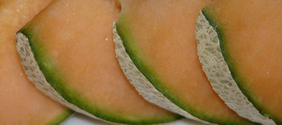 recettes de melon choisies parmi les préférées des internautes de Belgourmet.eu