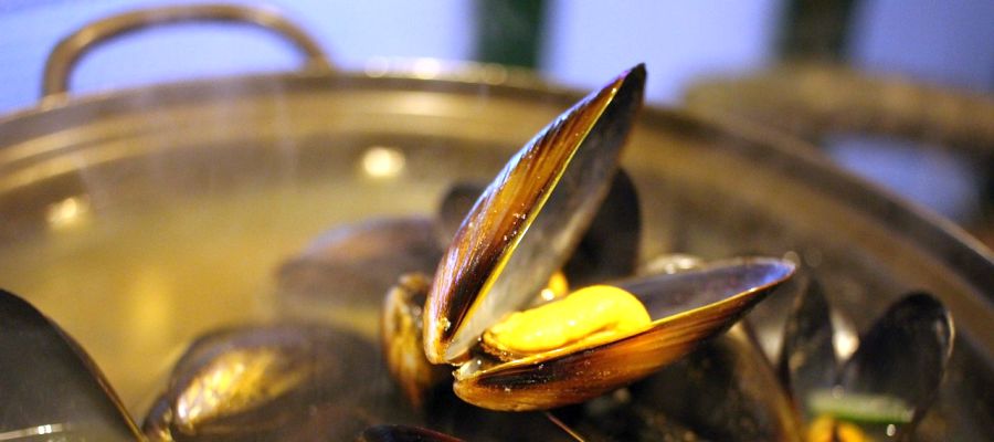 N'hésitez pas à préparer cette superbe quiche aux moules, une façon originale de présenter ces délicieux coquillages! de Belgourmet.eu