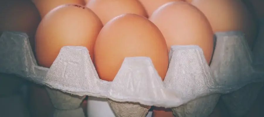 façons de préparer les oeufs de Belgourmet.eu