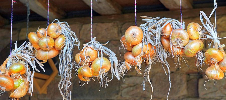 C'est le plat à l'ancienne par excellence. Pas cher et facile à préparer, oignons et pommes étaient disponibles à profusion, et dans toutes les fermes le lard était prêt à être tranché. Quand le parfum des pommes et des oignons mélangés envahissait la ferme, tout le monde se léchait les babines... de Belgourmet.eu