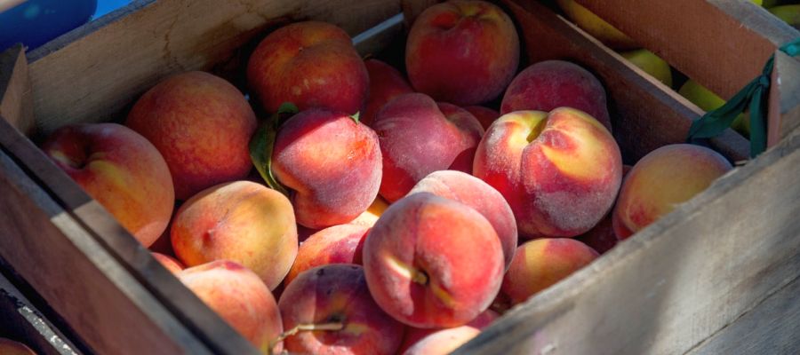 Si vous aimez les pêches cuites, c'est la recette qui vous plaira certainement. Les fruits gardent leur consistance et la pointe d'amandes pilées en rehausse délicatement la saveur. Si vous laissez cuire jusqu'au ramollissement complet, vous obtiendrez une délicieuse préparation pour agrémenter gâteaux, tartes et charlottes.  de Belgourmet.eu