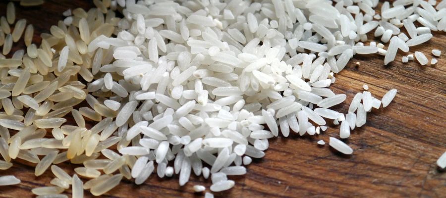  23 recettes de riz de Belgourmet.eu