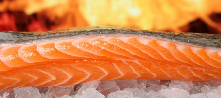  8 recettes de saumon de Belgourmet.eu