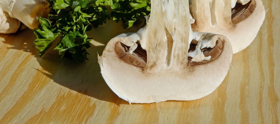Une belle recette de velouté de champignons à la crème servie avec des croutons bien croustillants.  de Belgourmet.eu