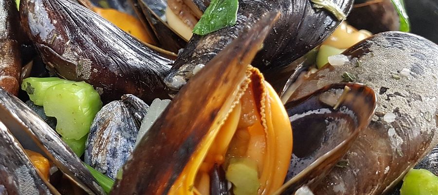 recettes de fruits de mer de Belgourmet.eu