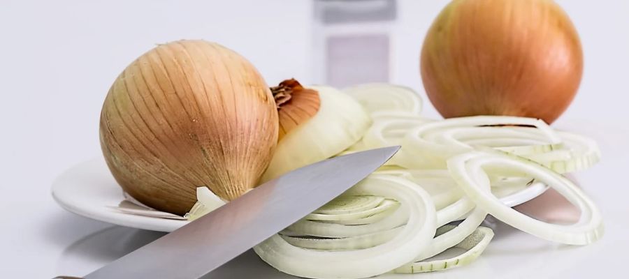 Alost, c'est une des capitale de l'oignon en Belgique. Tout à fait normal que la tarte à l'oignon y est à l'honneur. de Belgourmet.eu