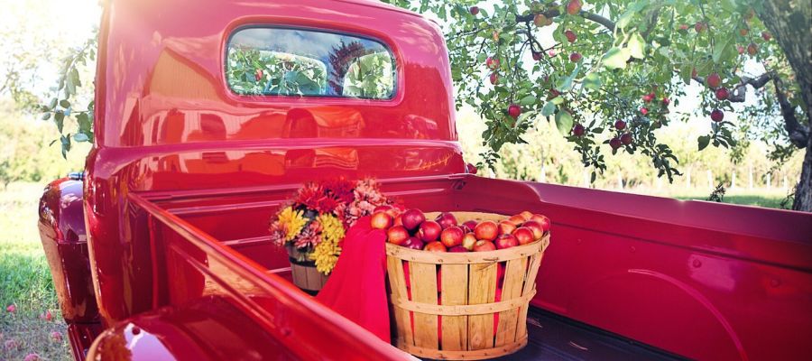 délicieuses recettes de pommes les mieux notées par les internautes de Belgourmet.eu